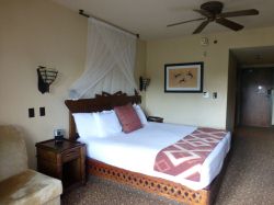 Animal Kingdom Lodge