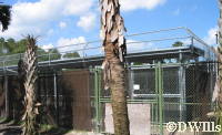 Animal shelters, hidden from view from Lodge guests