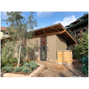 Boulder Ridge Cove Pool