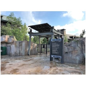 Boulder Ridge Cove Pool