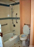 Dolphin Accessable Room Photo