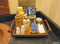 Ladies Locker Room
