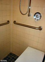 Roll in Shower