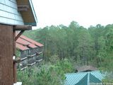 Wilderness Lodge Accessible Room Photographs