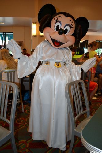 DSC_0020.jpg