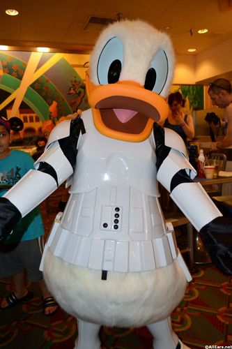 DSC_0078.jpg
