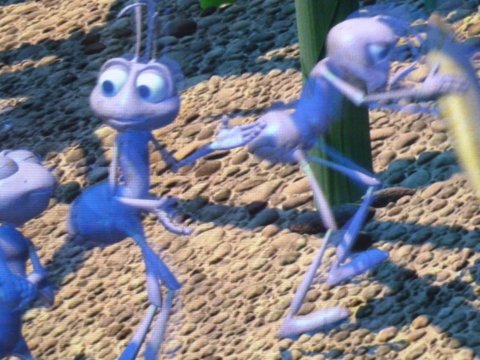 animation-magic-5.jpg
