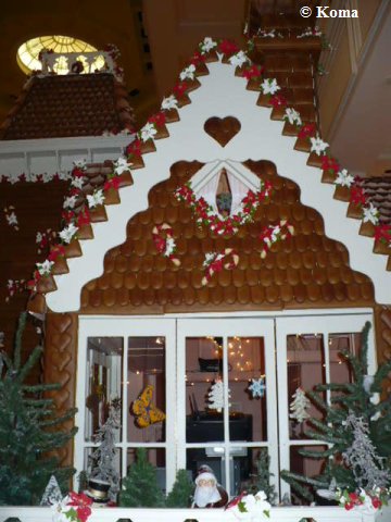 gingerhs2010_4.jpg