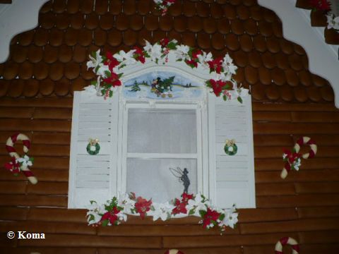 gingerhs2010_9.jpg