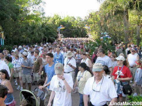 Animal Kingdoms 10th Anniversary Crowd awaiting Ceremony