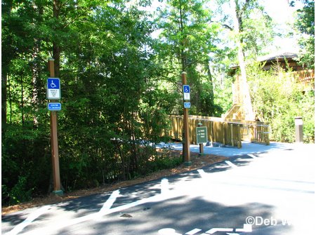 Treehouse Villas Accessable Villa Ramp