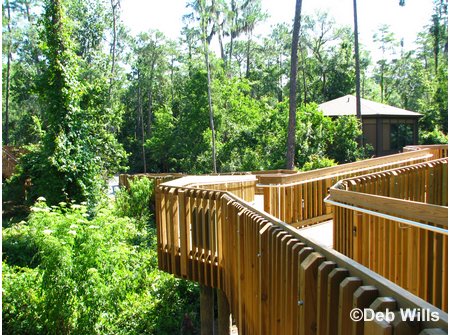 Treehouse Villas Accessable Villa Ramp