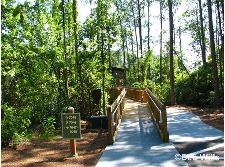 Treehouse Villas Accessable Villa Ramp