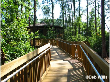 Treehouse Villas Accessable Villa Ramp