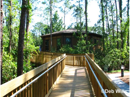 Treehouse Villas Accessable Villa Ramp