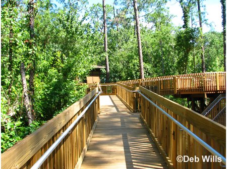 Treehouse Villas Accessable Villa Ramp