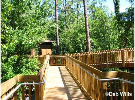 Treehouse Villas Accessable Villa Ramp