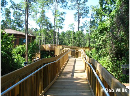 Treehouse Villas Accessable Villa Ramp