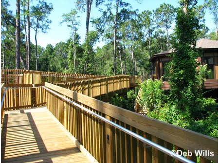 Treehouse Villas Accessable Villa Ramp