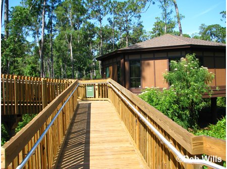 Treehouse Villas Accessable Villa Ramp
