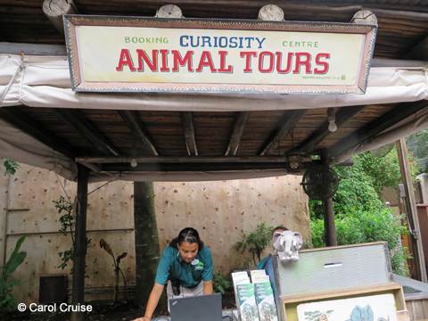 Animal Tours