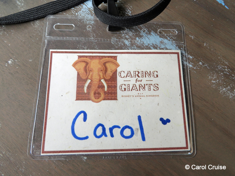 Caring for Giants