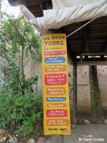 List of tours available