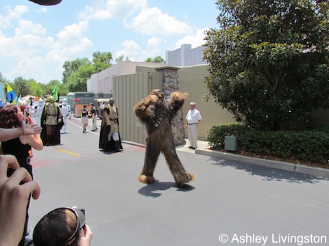 Chewbacca
