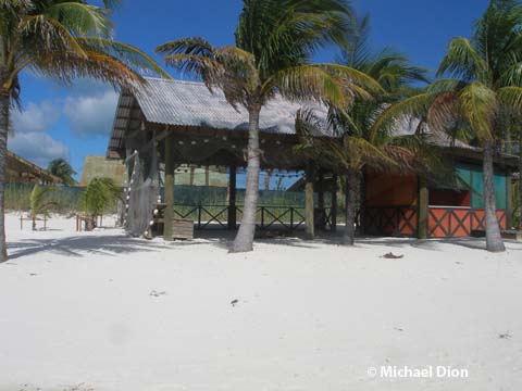  Castaway Rays- Castaway Cay - Disney Cruise Line