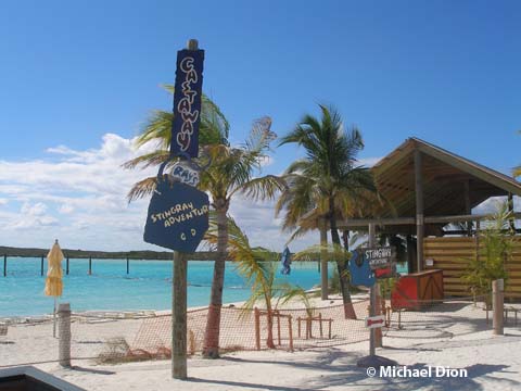 Castaway Ray's Stingray Adventure - Castaway Cay - Disney Cruise Line