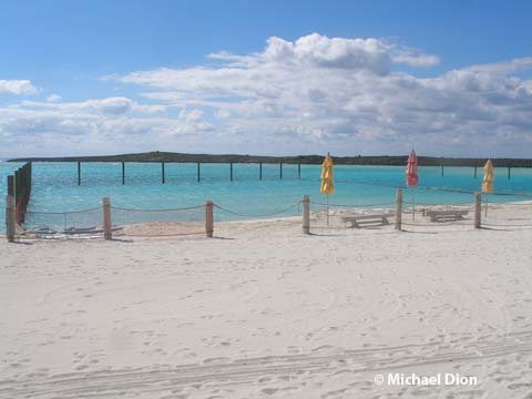 Castaway Ray's Stingray Adventure - Castaway Cay - Disney Cruise Line
