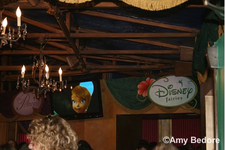 Magic Kingdom's Pixie Hollow and Tinker Bell Meet and Greet
