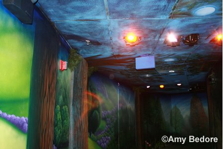 Magic Kingdom's Pixie Hollow and Tinker Bell Meet and Greet