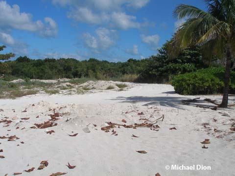 Spring-a-Leak - Castaway Cay - Disney Cruise Line