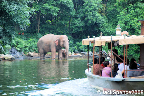 12%20Jungle%20Cruise.jpg