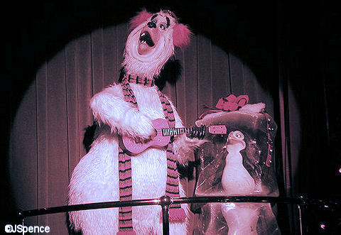 Christmas Show & Polar Bear