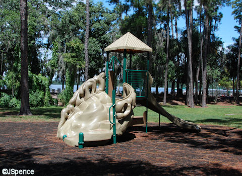 Jungle Gym