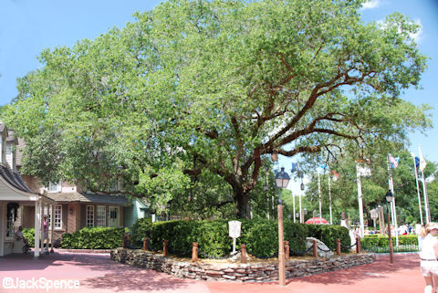 Liberty Tree