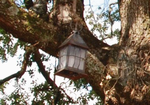 Lanterns