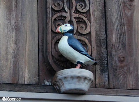 Puffin