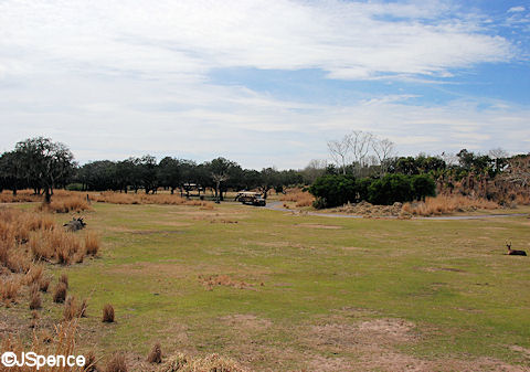Savannah