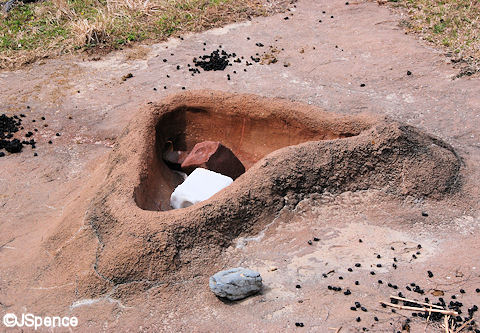 Salt and Mineral Lick