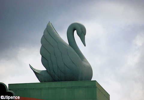 Swan Statue