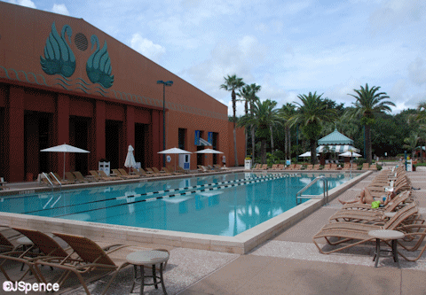 Swan Pool