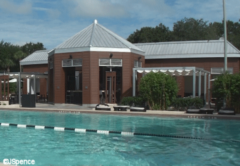 Dolphin Pool