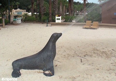 Seal