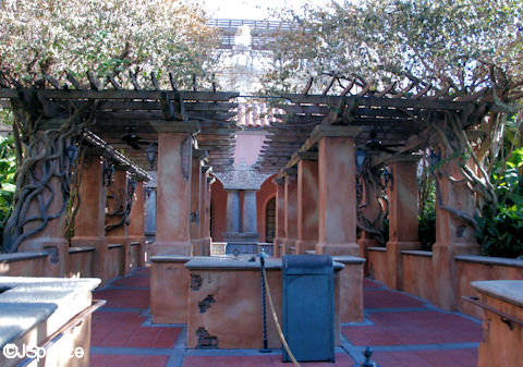 Arbor and Vines