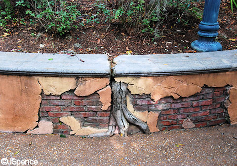 Broken Wall and Tree Roots