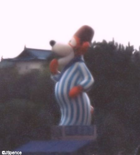 Morocco Tigger