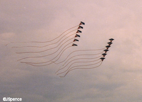 Kites